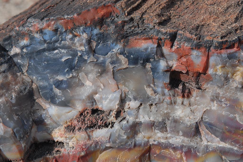 Slide_019.jpg - Close-up of log petrified into agate.  Different colors result from different trqace minerals.  Even the bark on the outside of this log is well preserved.