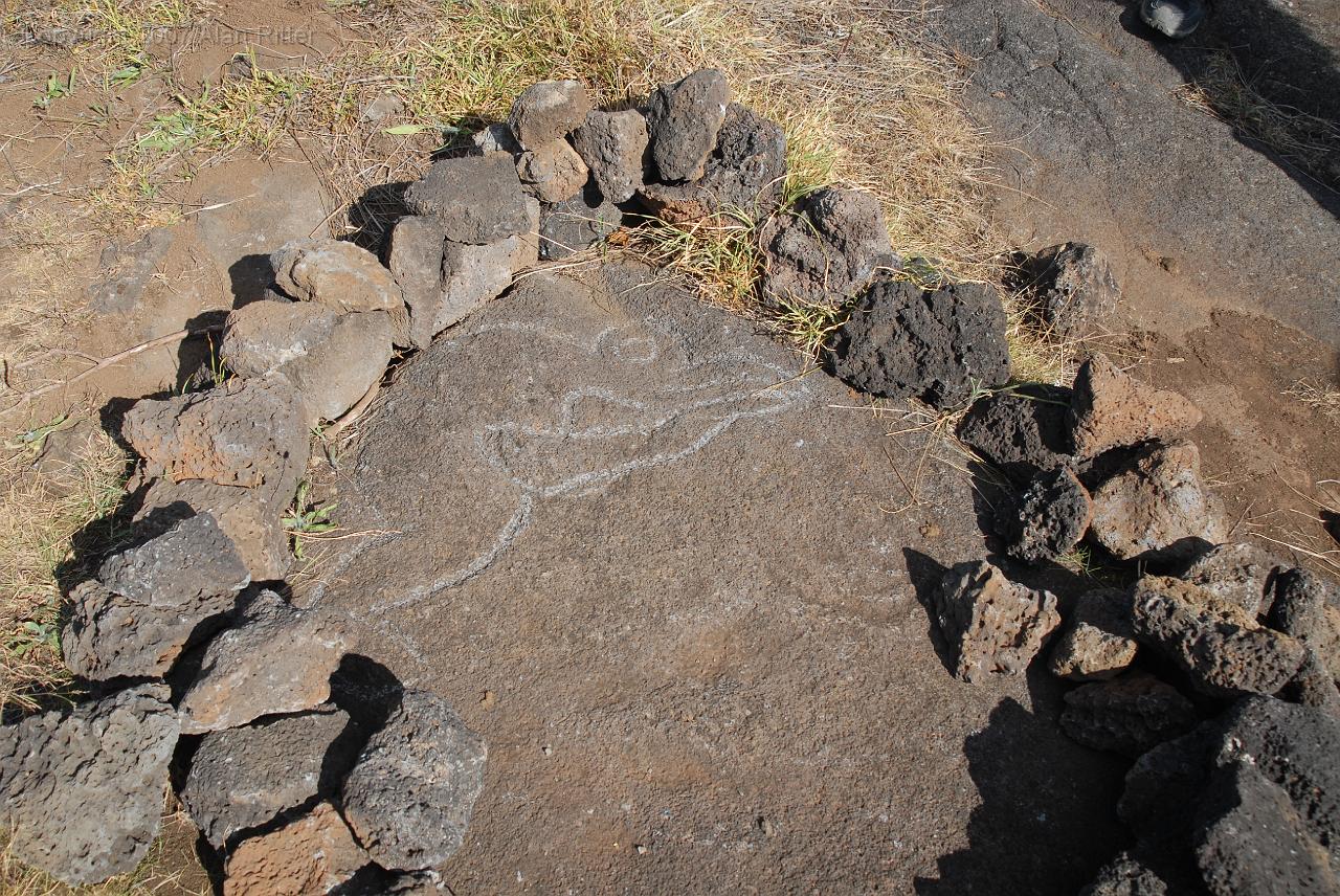 Slide_032.jpg - Birdman Petroglyph at Ana Te Ahu Lava Tube
