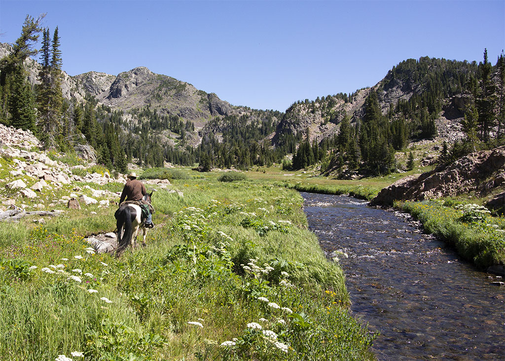 The Trail Following Sky Top Creek