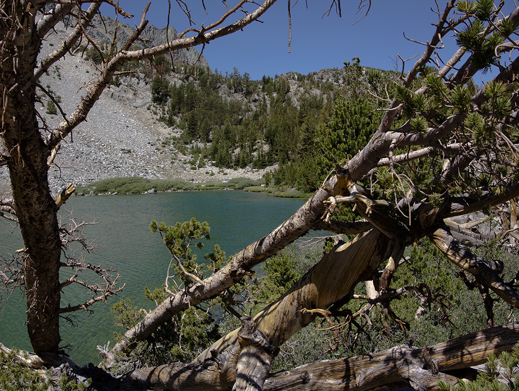 Barney Lake