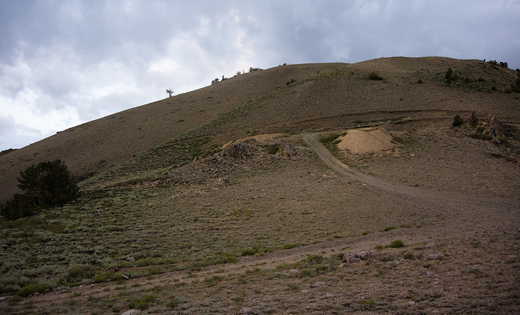 Trail Leading up from Kennedy Point Saddle