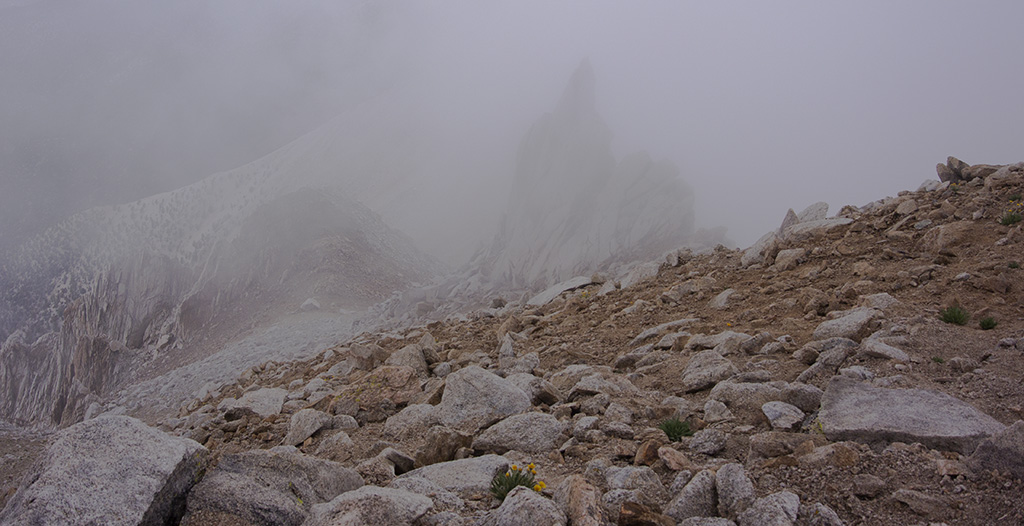 Looking back along the Ridge