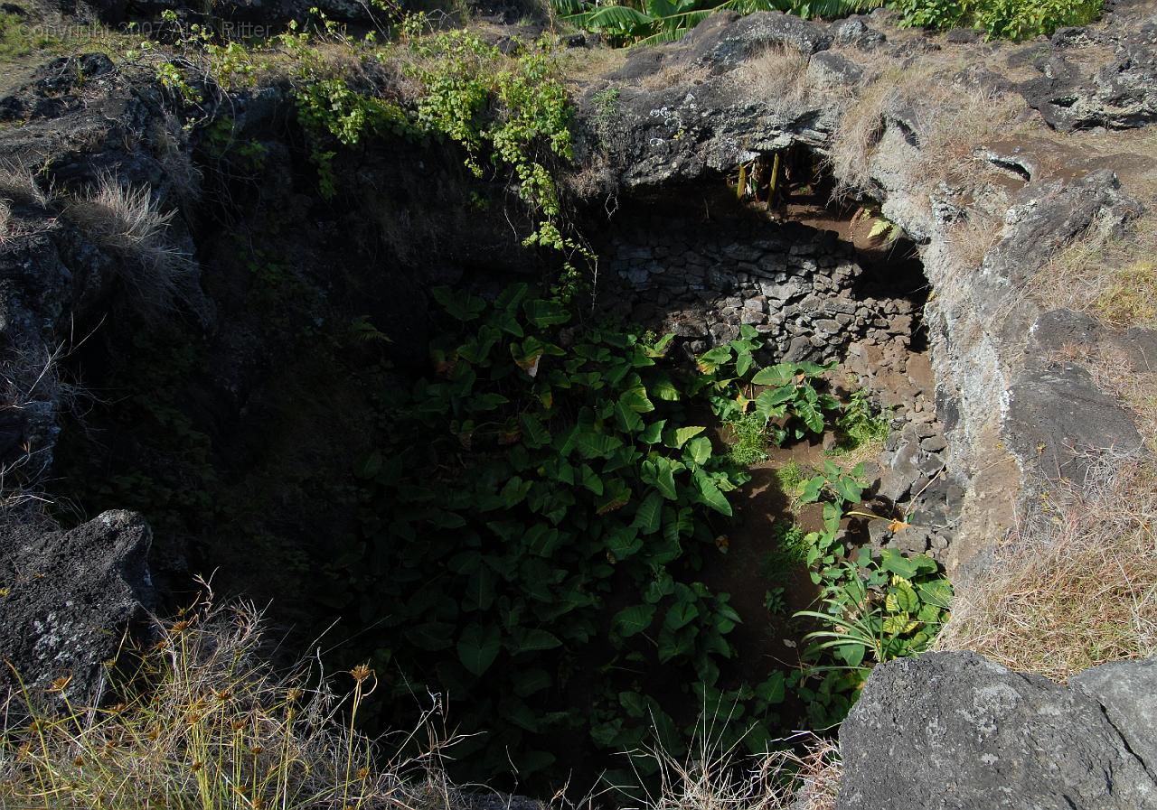 Slide_033.jpg - Looking down into Lava Tube from Above.  Rapa Nui used Lava Tube for shelter and to create a Micro-Climate for Certain Plants Requiring Higher Humidity