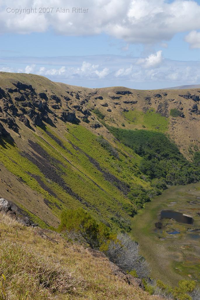 Slide_052.jpg - Wall of Rano Kau Crater Carpeted with Grapevines