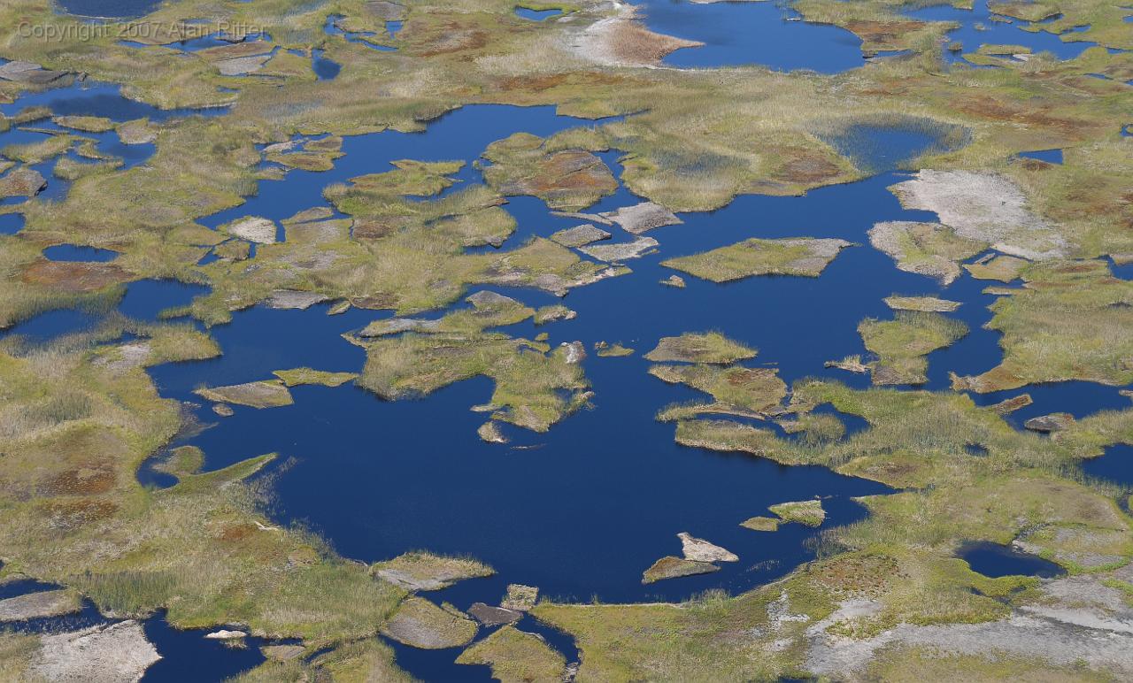 Slide_053.jpg - Reed "Islands" in Lagoon within Rano Kau Crater