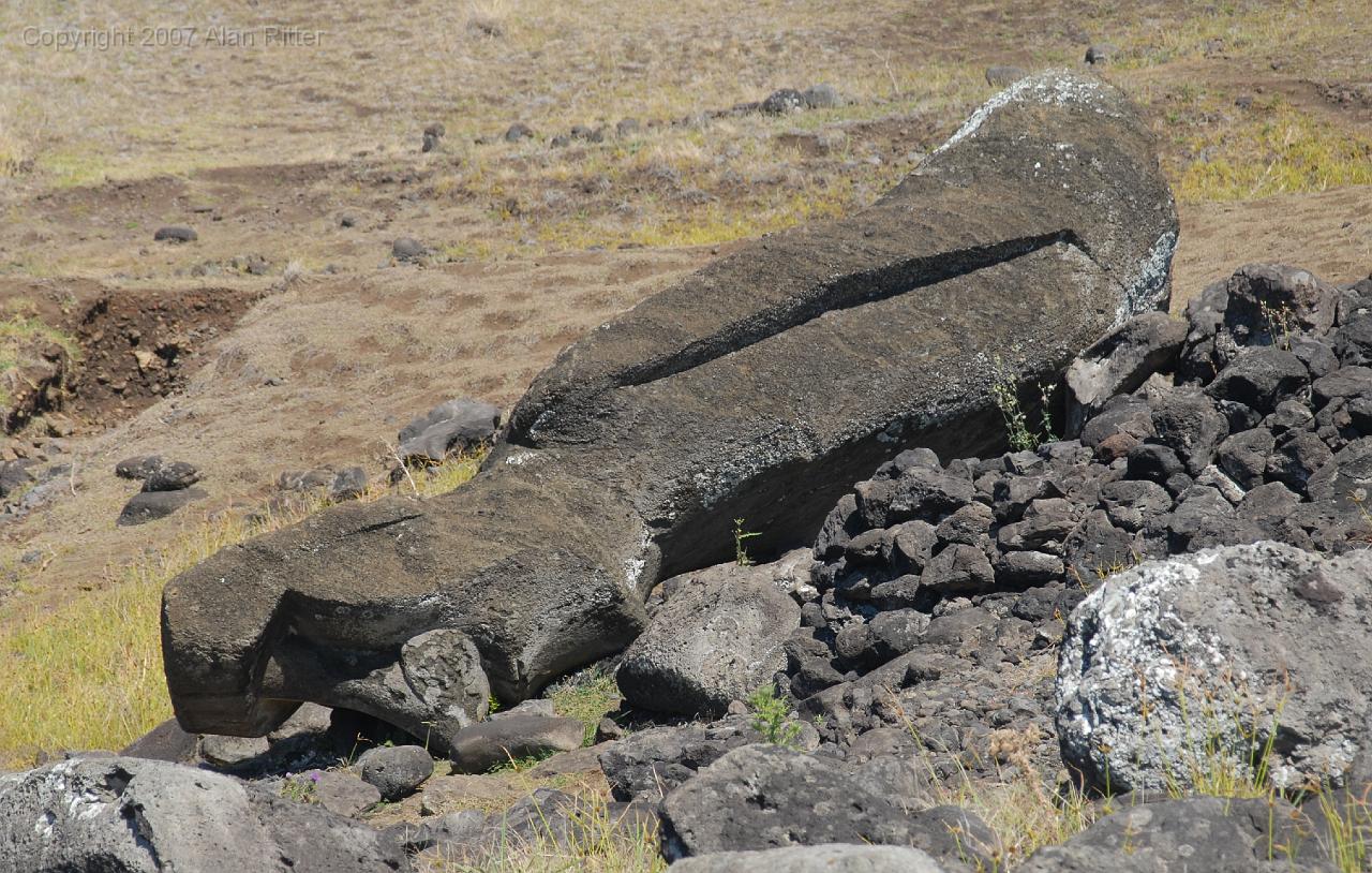 Slide_086.jpg - Toppled Moai