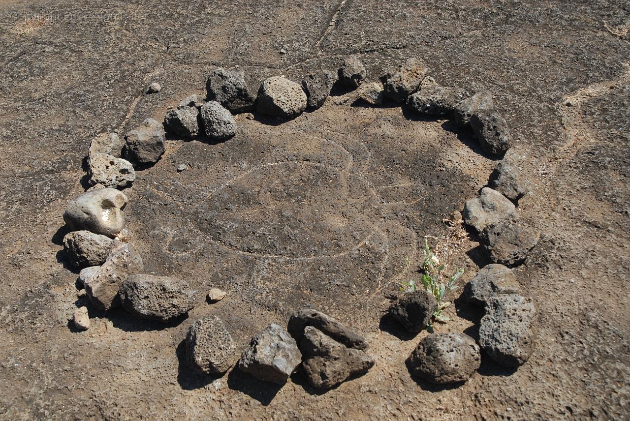 Slide_097.jpg - Sea Turtle Petroglyph at Ahu Tongariki