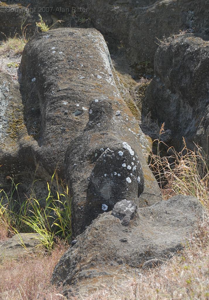 Slide_119.jpg - Partially-Carved Moai